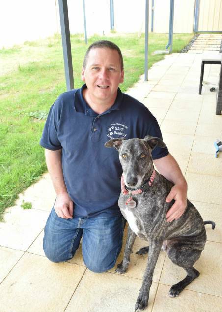 SAFE Bunbury president Mark Townsend is calling for foster carers for dogs and cats who need homes across Bunbury.