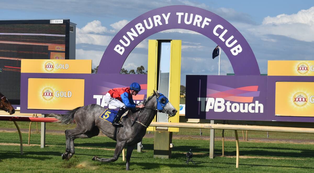 Victorious: Jockey Jarrad Noske stoked three-year-old Vital Silver to victory at Bunbury on Sunday by nearly two lengths. The win was the grey gelding's first of his short career. Photo: Andrew Elstermann. 