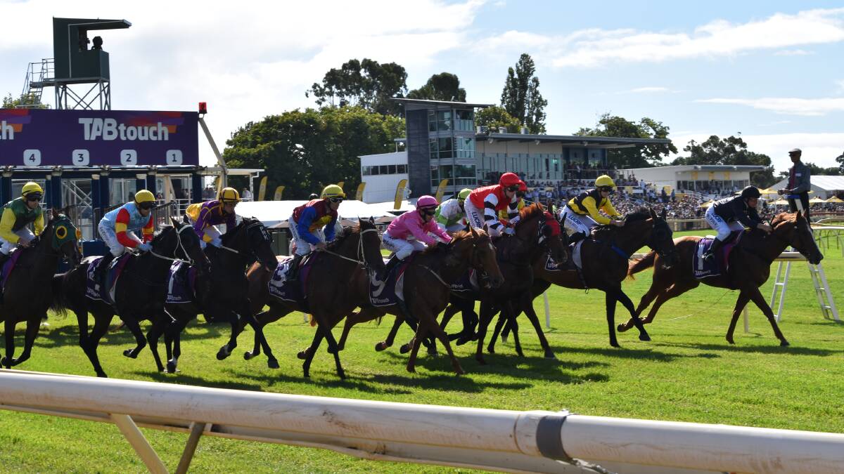 The field for race five jump out of the barriers.