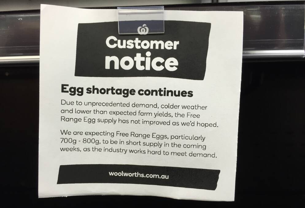 A note for customers at the Treendale Woolworths store about the egg shortage. Photo: Andrew Elstermann.
