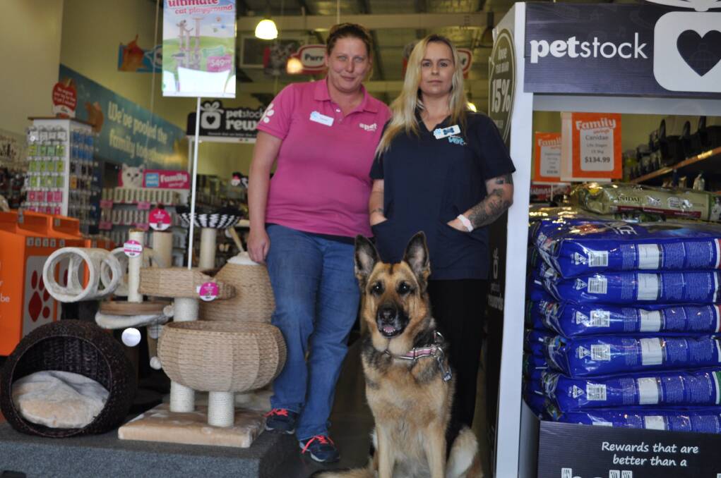 Ready for the weekend: PETstock store manager Kassie White, head vet nurse Nikki White and German Shepherd Tess are getting prepared for the microchip blitz. Photo: Thomas Munday. 