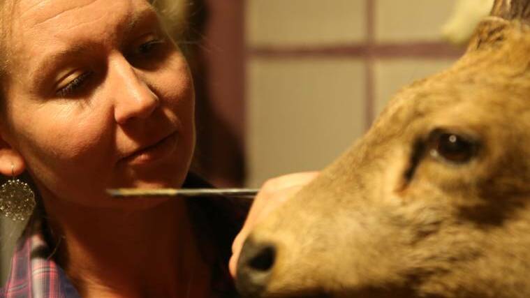 Cassandra Hall works on her hog deer. Photo: Anthony Stipo