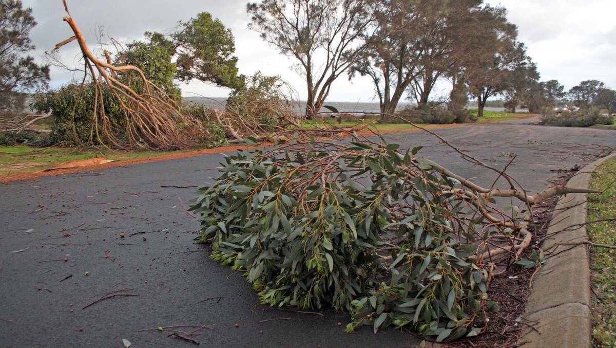 Western Power reports powerful gusty winds have blown trees and debris into powerlines causing power outages in the South West region and in the Perth metro area. 