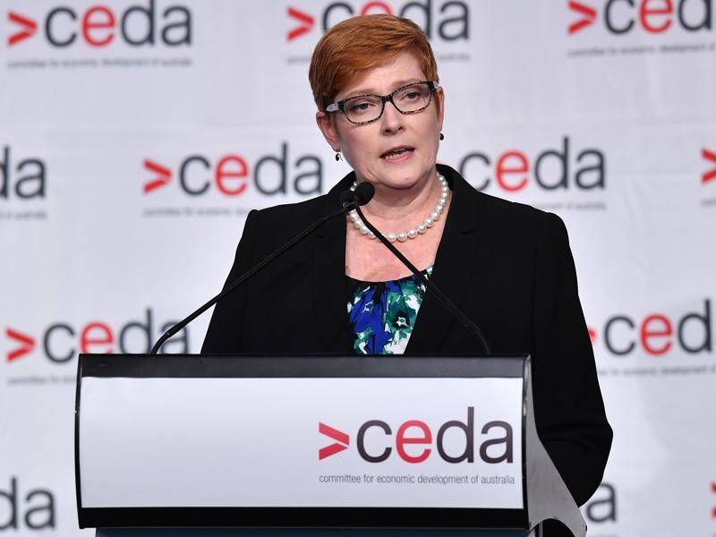 Defence Minister Marise Payne says there are endless opportunities for women in defence industry.