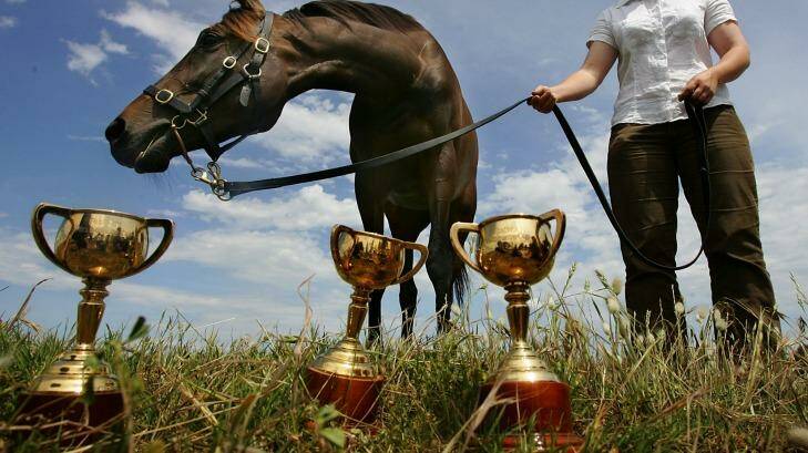 Champion: Just like Melbourne Cup winner Makybe Diva, super funds have enjoyed their third good year. Photo: Sebastian Costanzo 