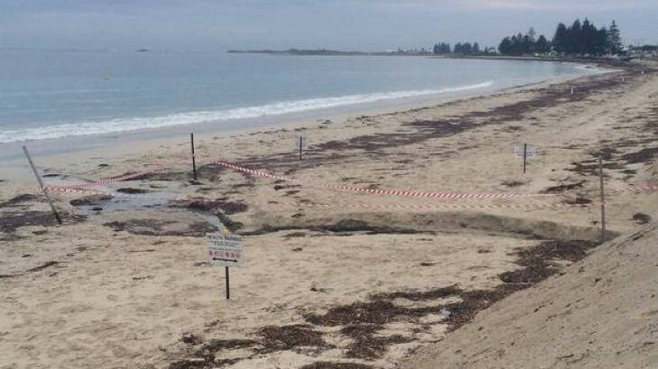 Millions of litres of sewage have flowed into water at Safety Bay beach. Photo: Rebecca Picton-King / Seven News