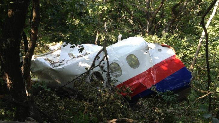 MH17 Fuselage section discovered by OSCE-led Australian-Malaysian team at crash site. Photo: Paul McGeough