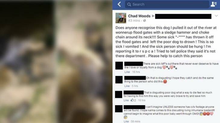 WAtoday has blurred the images of the dead dog. Photo: Facebook/Chad Woods