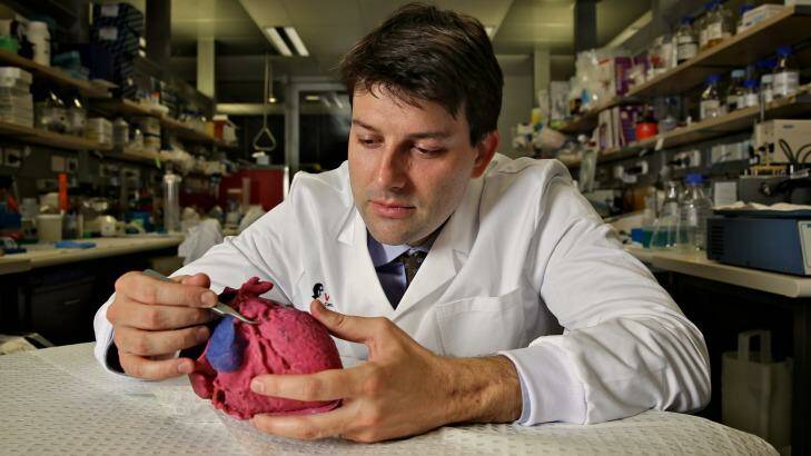 Dr James Otton with a replica of a heart built with a 3D printer.  Photo: Brendan Esposito