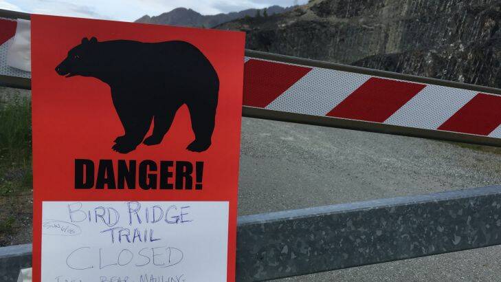 A sign warns people that the trail head is closed on Monday, June 19, 2017, after a fatal bear mauling at Bird Ridge Trail in Anchorage, Alaska. Authorities say a black bear killed a 16-year-old runner while he was competing in an Alaska race on Sunday. (AP Photo/Mark Thiessen)
