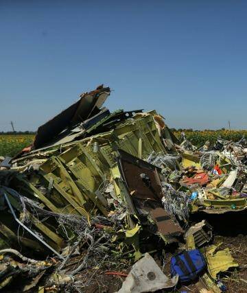 Debris from the front section of Malaysian flight MH17 on the outskirts of Rassypnoe village in the self proclaimed Donetsk People's Republic, Ukraine. Photo: Kate Geraghty