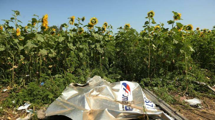 A piece of plane debris at one of the sites where the front section of Malaysian flight MH17 crashed and the pilots bodies were found. Photo: Kate Geraghty
