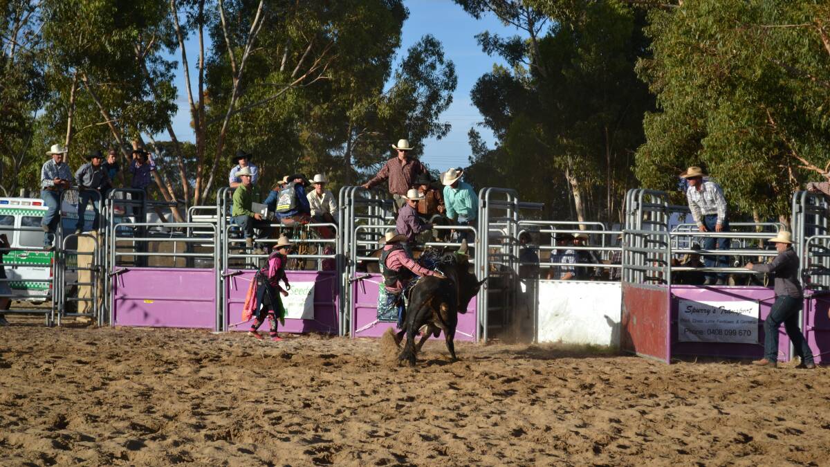 All the action from regional WA's largest agricultural show Wagin Woolorama 2014. 