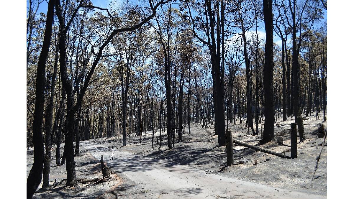The aftermath of a devastating bushfire in Perth's hills. Photo: DFES.