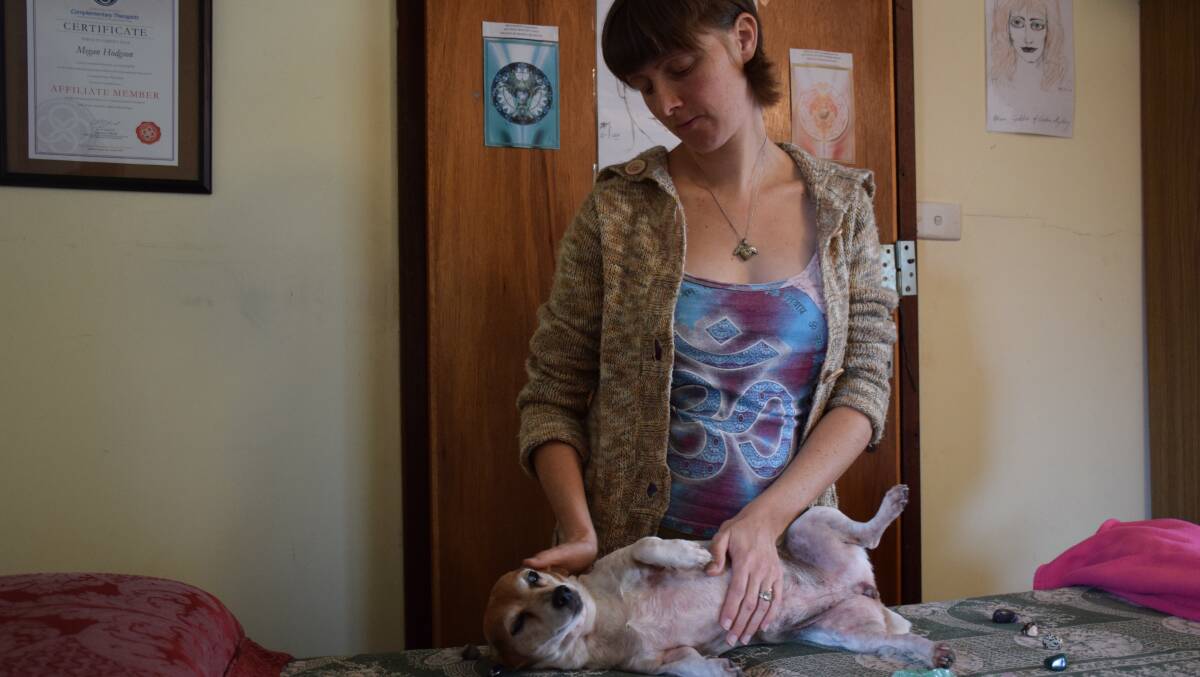 Megan Hodgson demonstrates a crystal healing on her dog Jessie.