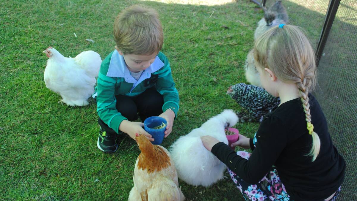 Scott Ryan, 3, and Abbrielle Ryan, 4 of Byford feed the chickens in the baby animal exhibit.