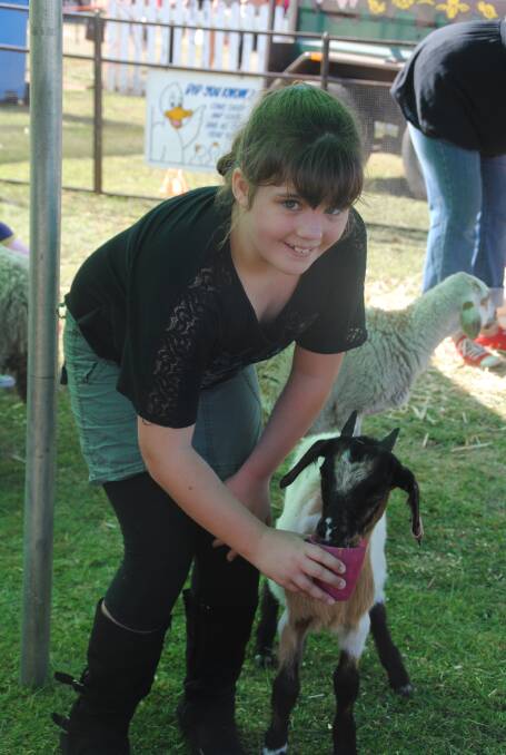 Brodee Bacci, 9, of Greenbushes, gets to know the baby animals.