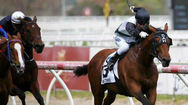 Boom Time spears through the fence to win the Caulfield Cup. Photo: AAP

