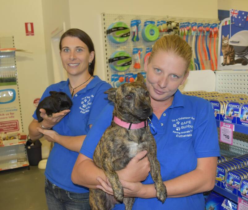 SAFE volunteer Felicity Haigh with Shadow and SAFE dog coordinator Kassie White with Jewel.