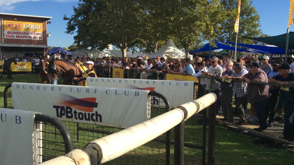 The crowd swells before the main event of the day - the 2014 Bunbury Cup.