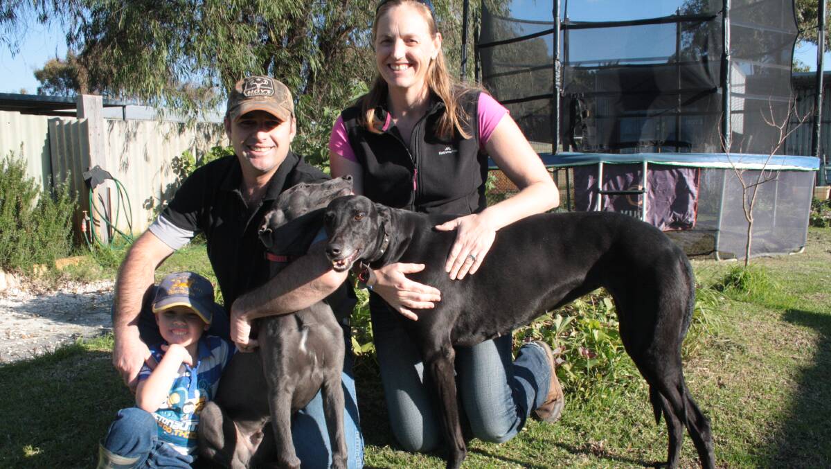 Johnathon and Zoe Campbell breed and train greyhounds and are fed up with the negative perception of the industry. They are pictured with son Dusty and dogs Will Steel and Lulu. 
