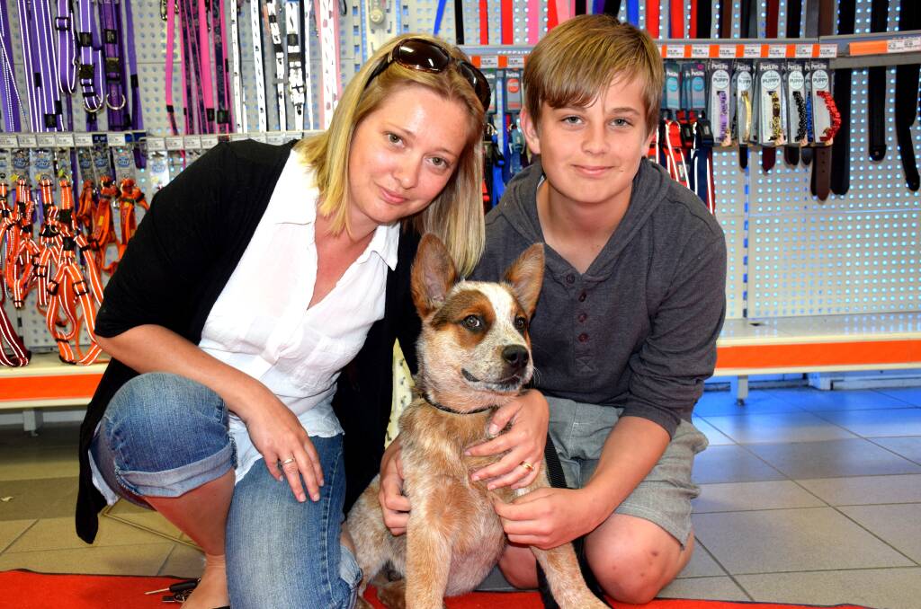 Katie and Isaac Jones with Deisl, who was named WA’s Cutest Pooch. 