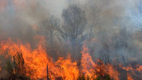 Many West Aussies not prepared for bushfire