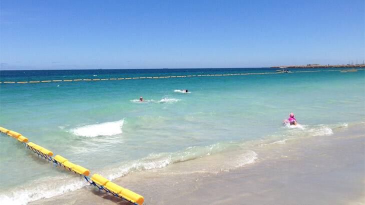 Swimmers take to the water in the safety of Coogee Beach's new shark barrier. Photo: Nine News Perth