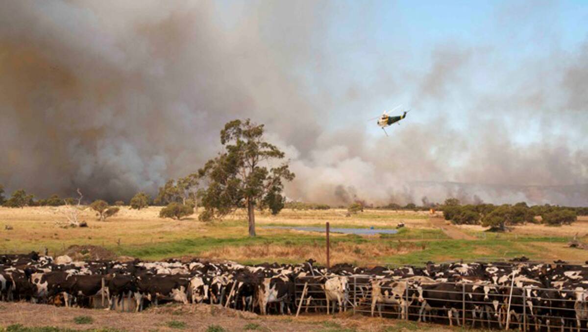 Jakob Troy-Johnston took these photos of an out of control bushfire near Harvey yesterday.
