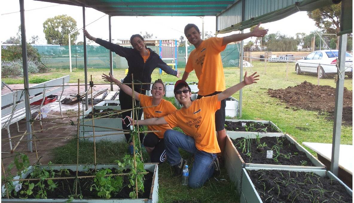 Staff and students from Curtin University have helped create a new community garden at the Merredin Regional Community and Leisure Centre. Photo: Merredin-Wheatbelt Mercury.