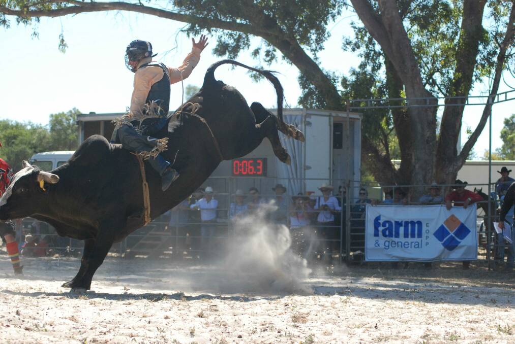 Rodeo in action 