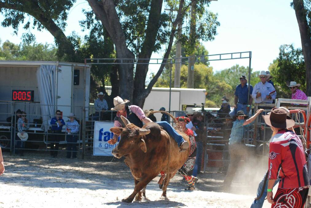 Rodeo in action 