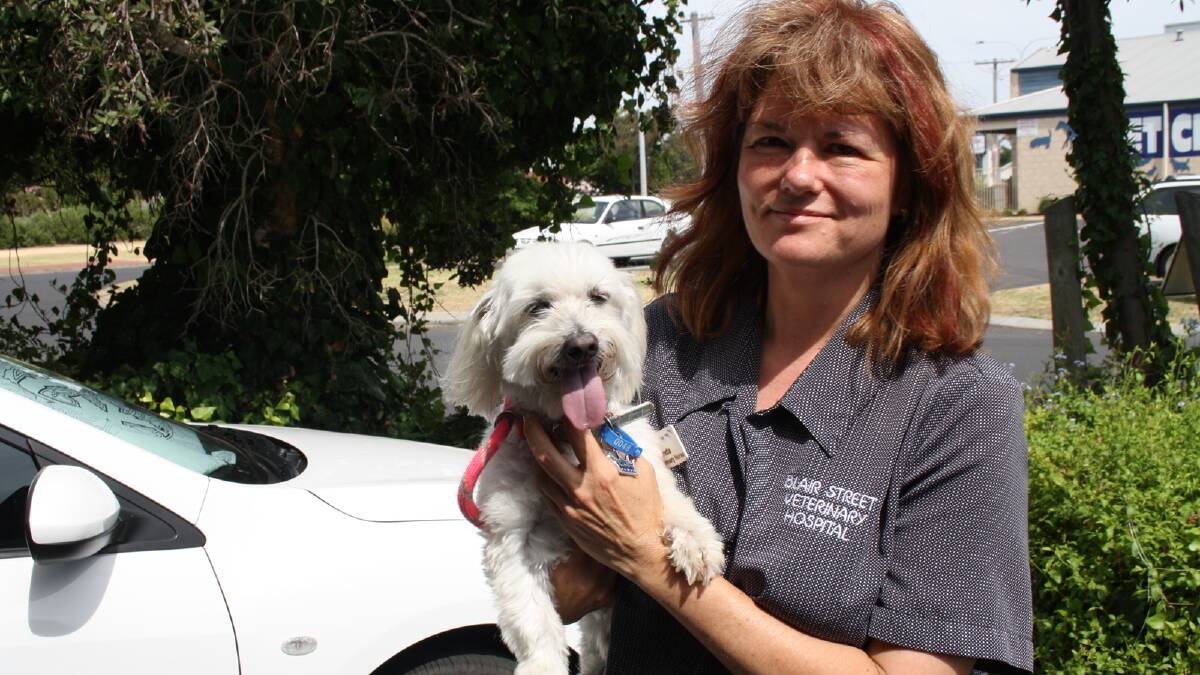 Blair Street Vet Clinic nurse Rhonda Fox took the dog to the clinic to be looked after. 