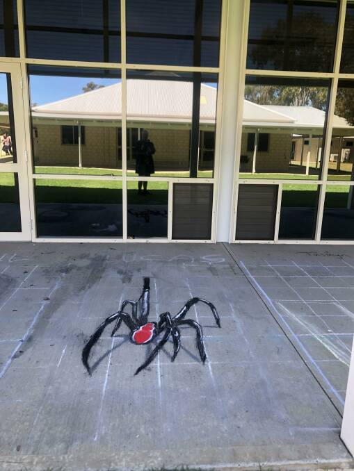 Spiders were a common fear among students. Picture: supplied