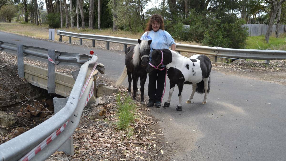 "Close the road": Anthea Waller with her miniature ponies, Ruby Tuesday and Chevy, who she walks on Panizza Road. Picture: Pip Waller