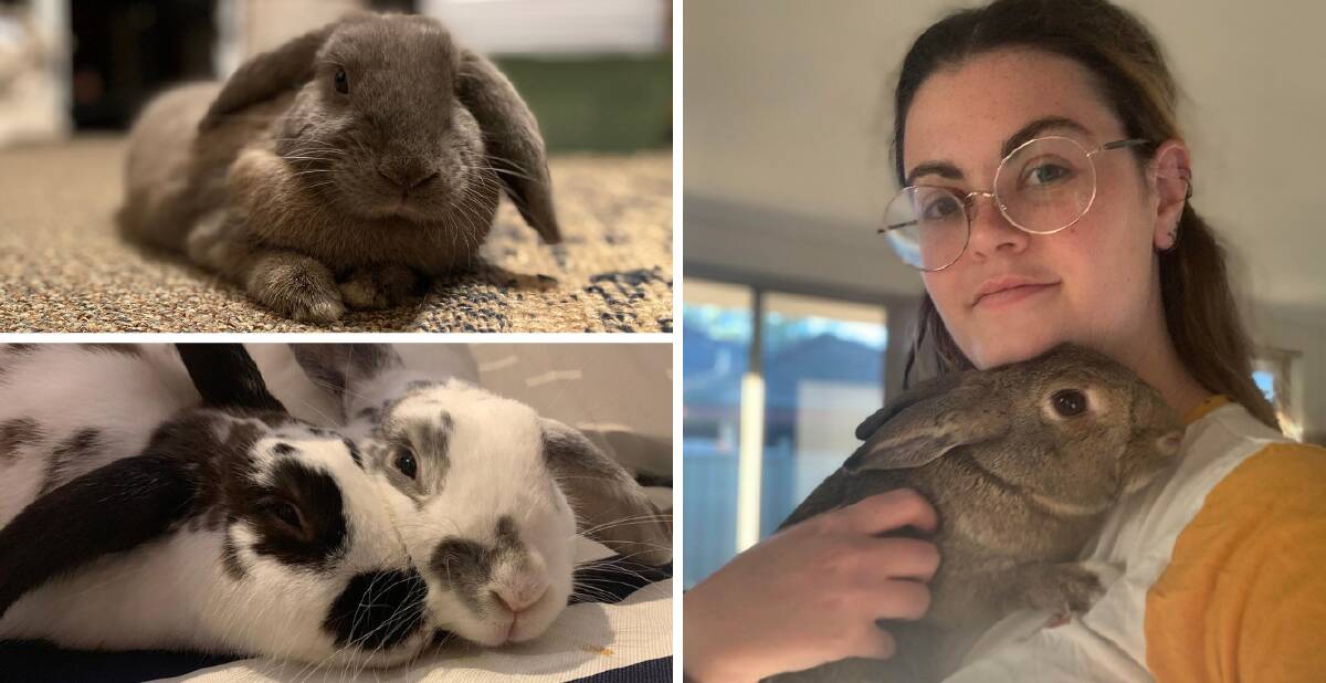 Not a present for Easter: South West pet owners agreed there were many misconceptions about owning rabbits due to outdated advice and incorrect stereotypes. Pictures: Pip Waller/Supplied. 