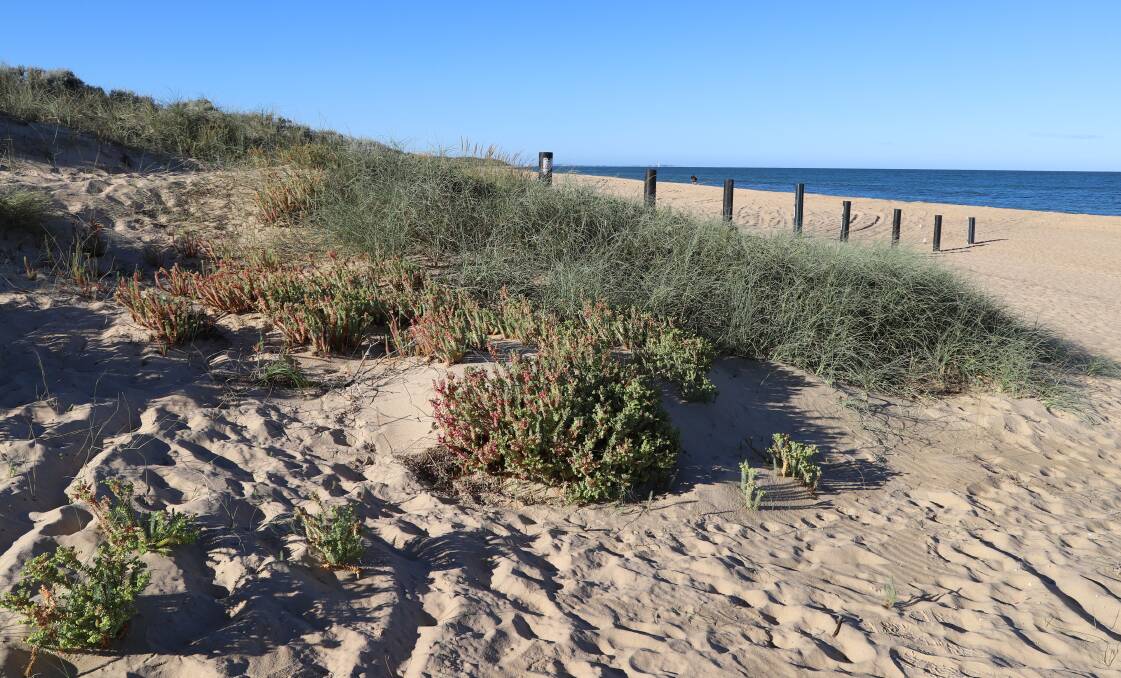 Work will commence in the coming months on the sand dunes in Binningup.