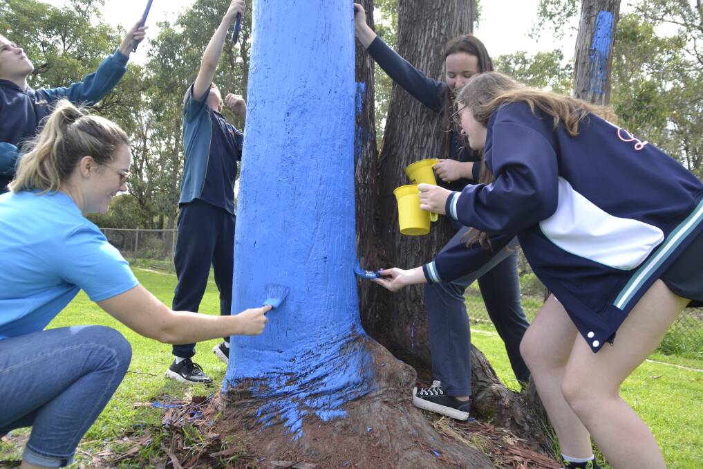 Ms Whyte selected a dead tree at the College to paint blue with the students. 