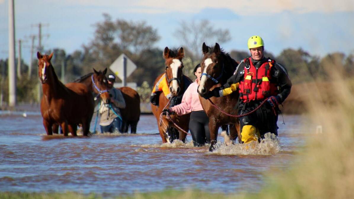 On Saturday, July 9 2022, 20 horses were rescued at Millers Forest. Picture supplied