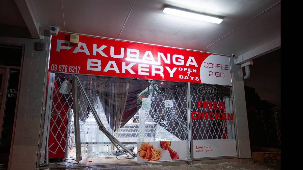 The ram raided shop window at Pakuranga Bakery in Auckland. Picture via Hayden Woodward/New Zealand Herald