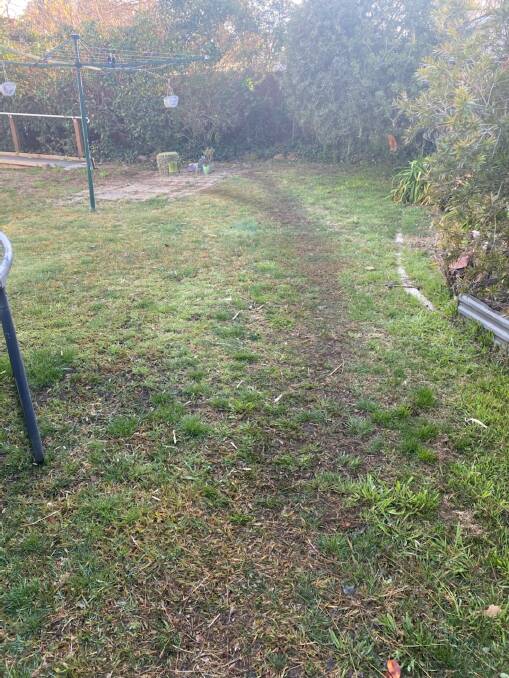 Giles Lamb's lawn after his backyard marathon. Picture: Supplied