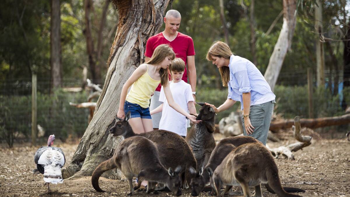 Kangaroo Island … makes for a great family holiday. 