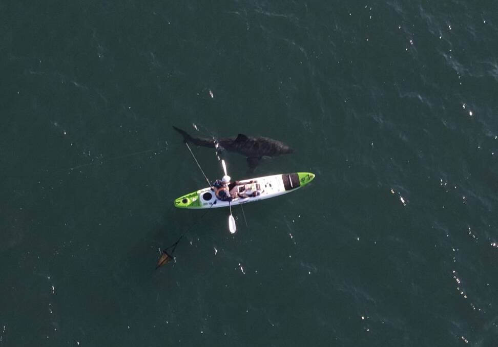 Keen angler, Matthew Smith watched on in horror as the monster shark circled his kayak.