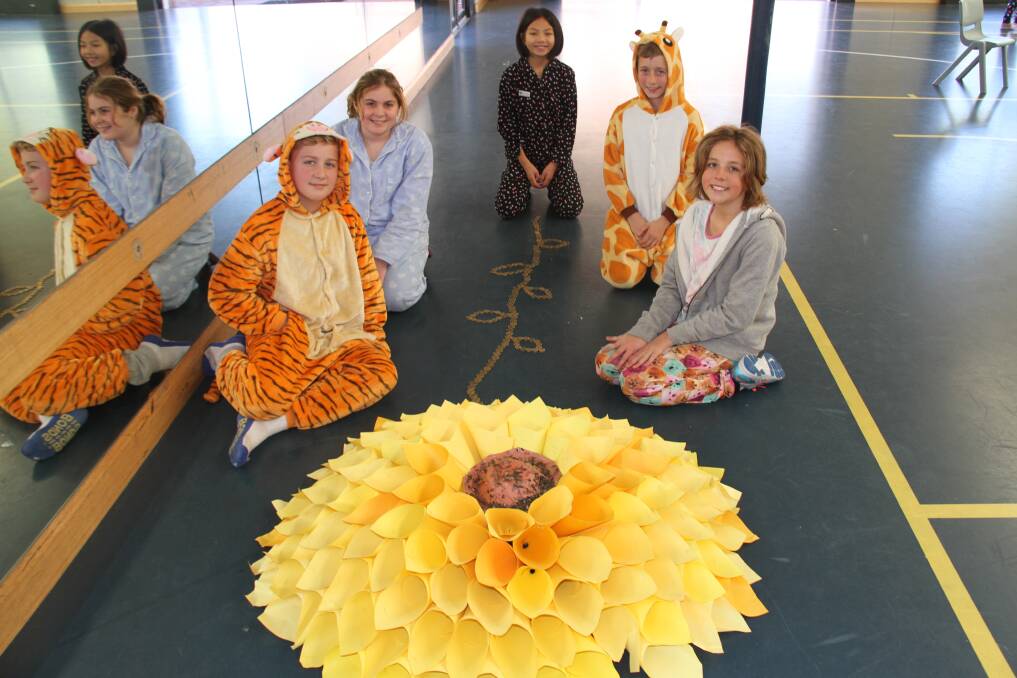 Bunbury Cathedral Grammar School students Rowan Carlisle, Eva Maag, Holly Harrison, Clayton Jackson and Kathleen Ryan with the giant sunflower.