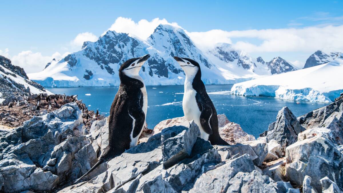 There's plenty to smile about on an expedition to Antarctica. Picture: Shutterstock