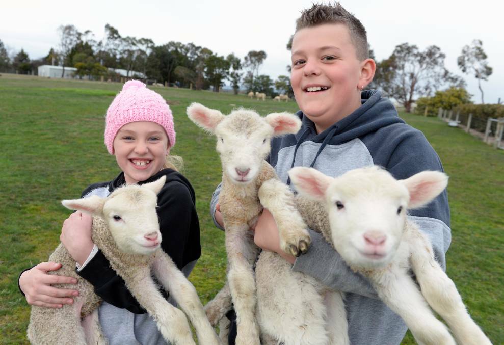 Miller and Maylea McDonald with their surprise lambs. Photo: Kate Healy.