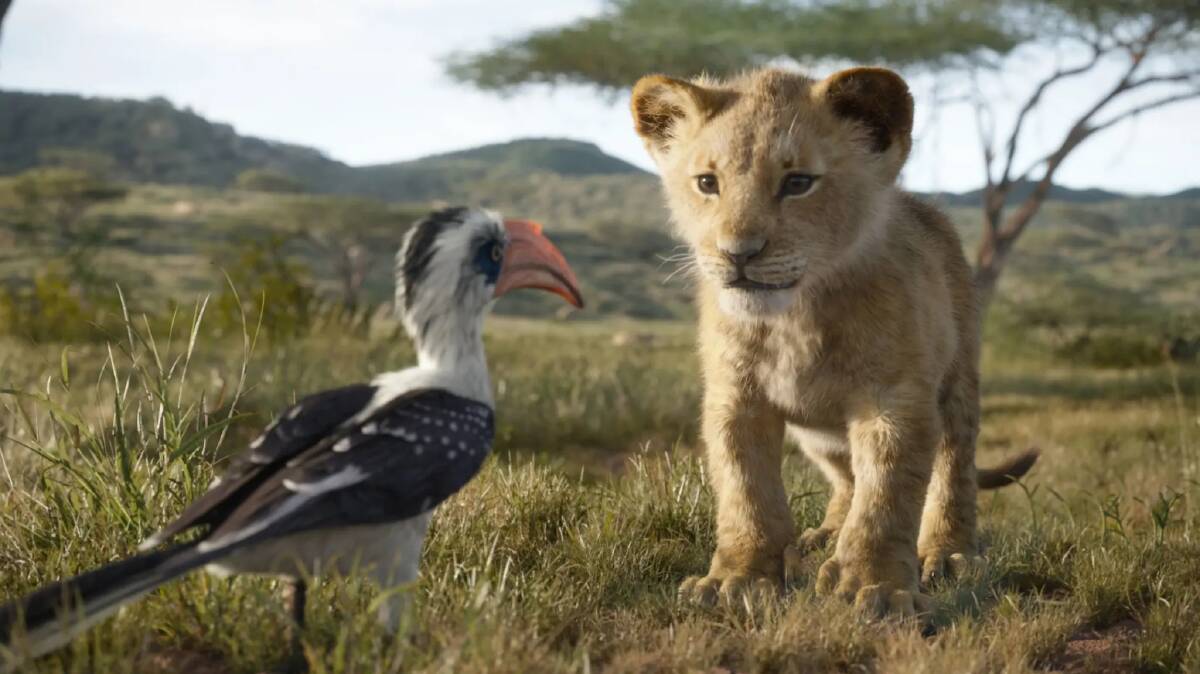 At the movies: Lions, red-billed hornbills, and many other animals star in Disney's The Lion King, in cinemas now. Photo: Supplied.