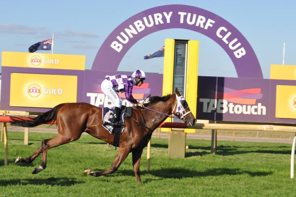 Afra Chance ($3.10) in the Skyracing.TV Provincial Championship Series Heat. Photo: Thomas Munday. 
