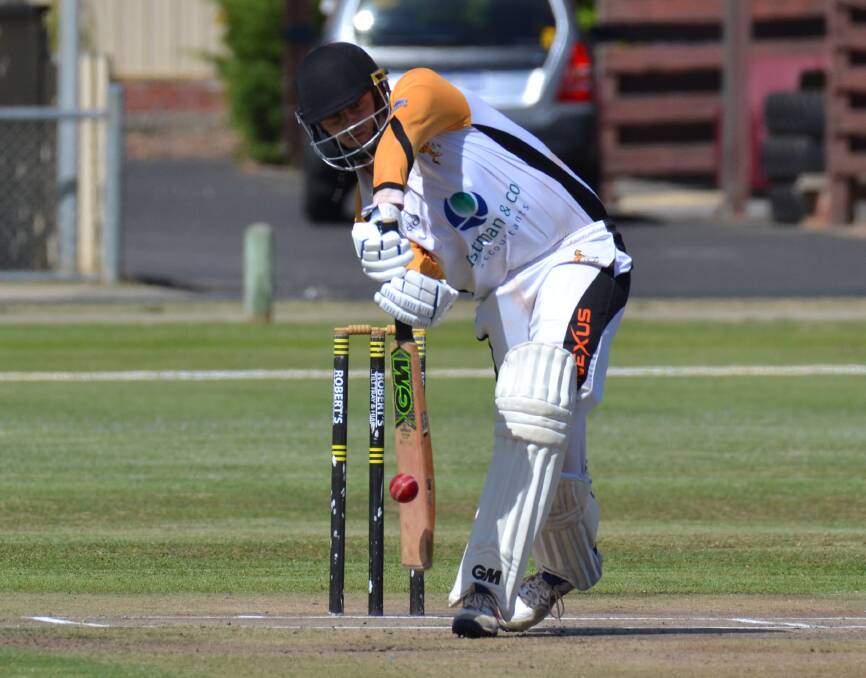 Hit for six: The new cricket season will officially begin on Saturday, October 12. Photo: Thomas Munday. 