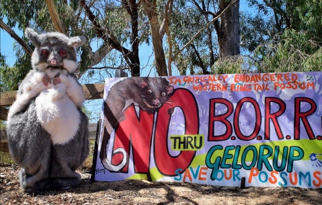 Calling for change: Two members of the Friends of the Gelorup Corridor recently met with government representatives to discuss the BORR's proposed Southern Alignment. Photo: Supplied. 